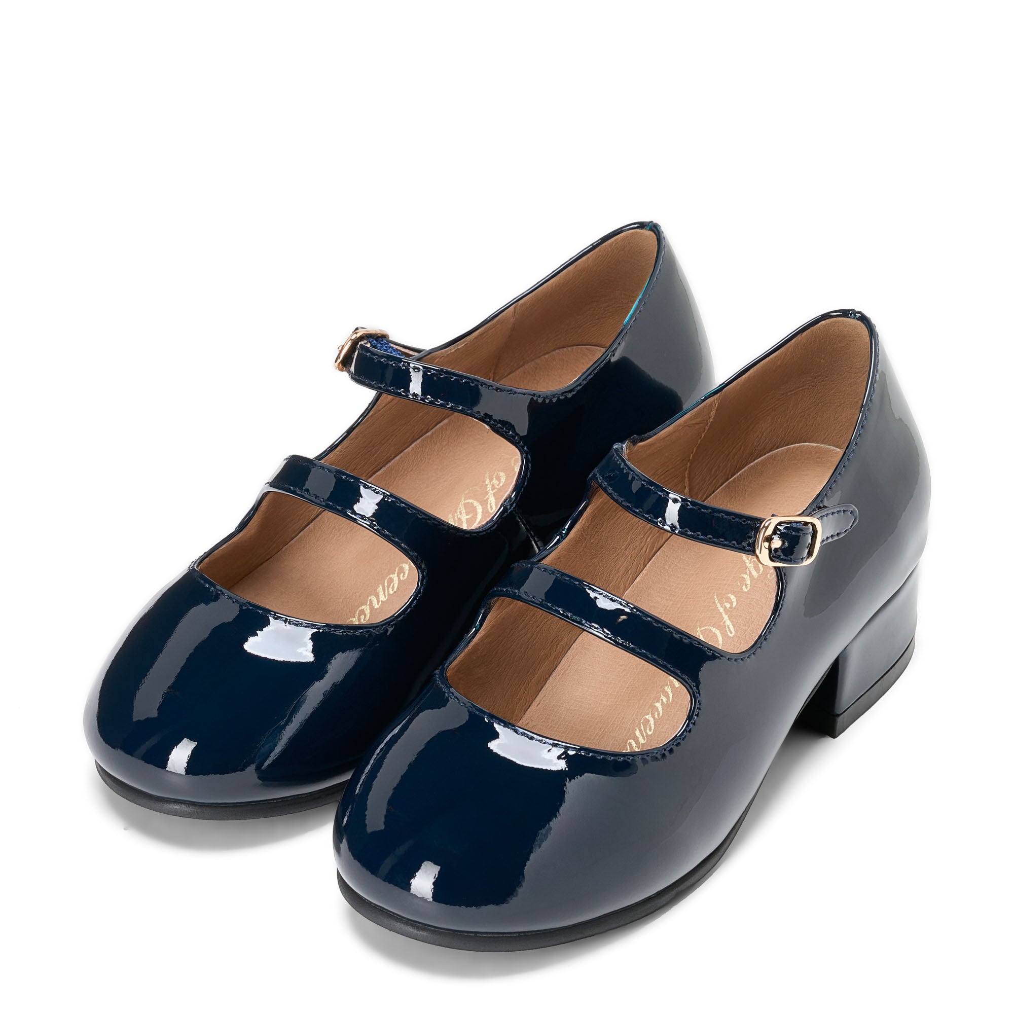 Seema Navy Shoes