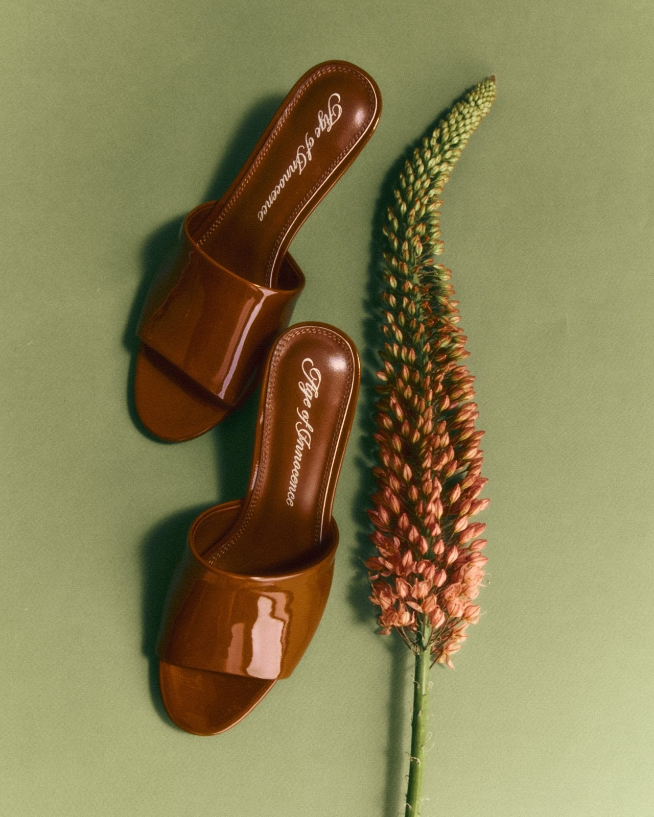 Aurea Mocca Mules Mules Age of Innocence Women