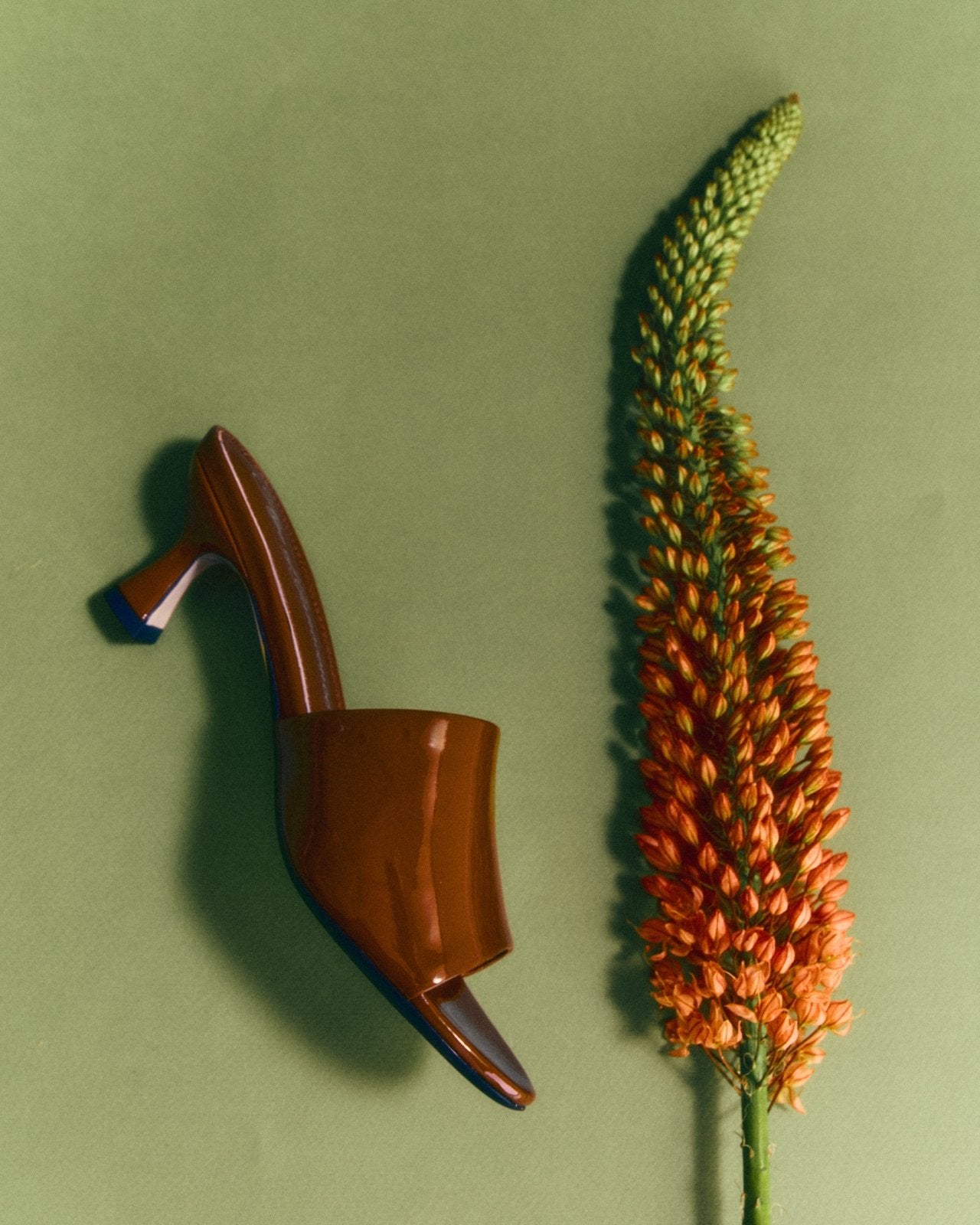 Aurea Mocca Mules Mules Age of Innocence Women