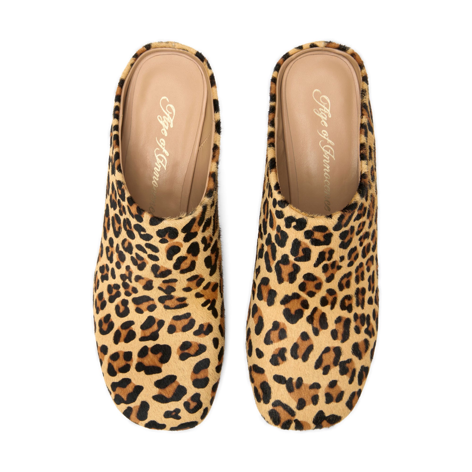 Tasha Animal Print Shoes Mules Age of Innocence Women