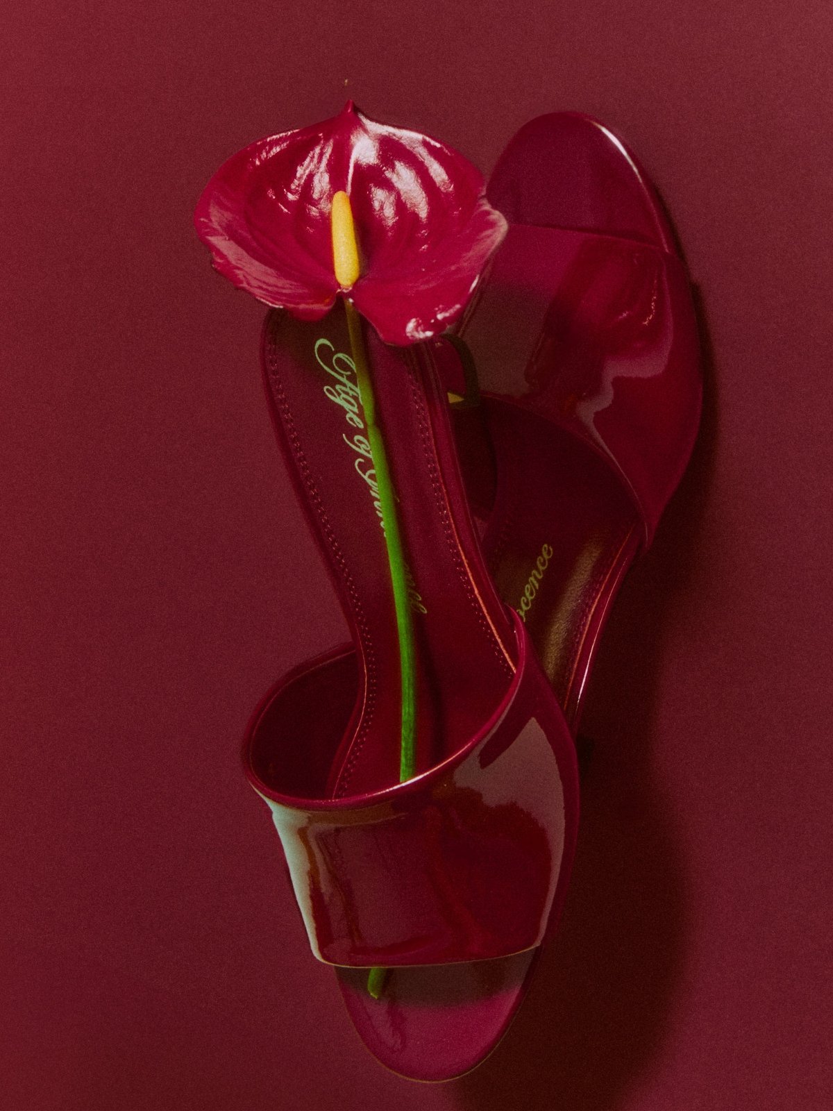 designer Aurea Burgundy for girls by Age of Innocence Women