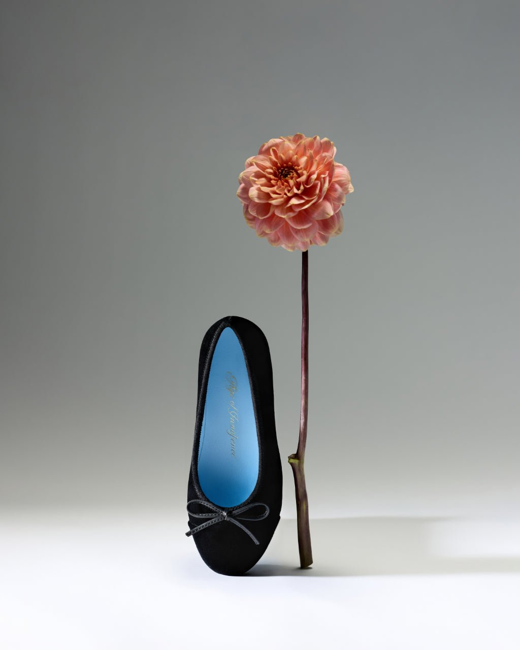 designer Meredith Velvet Black Shoes for girls by Age of Innocence