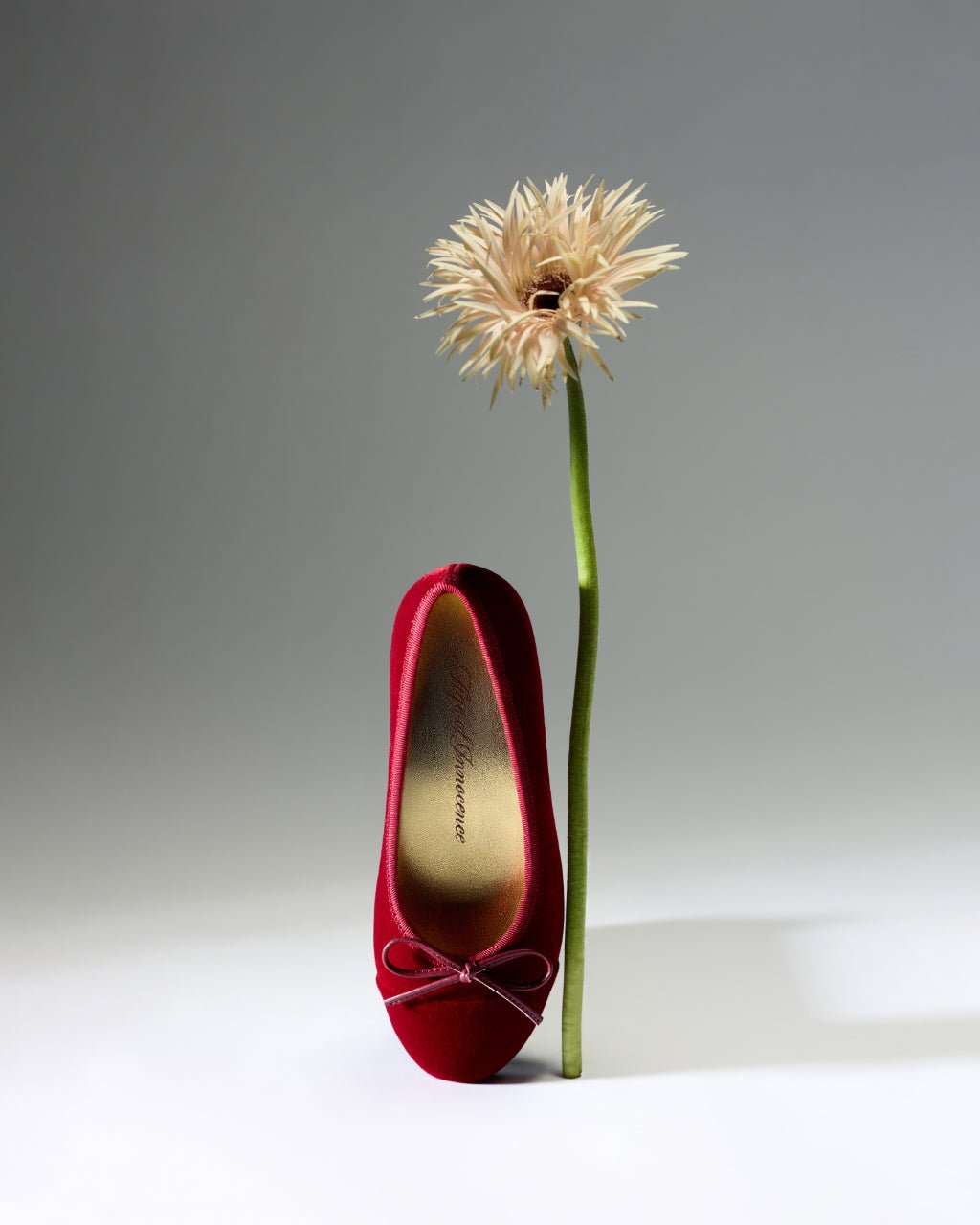 designer Meredith Velvet Red Shoes for girls by Age of Innocence
