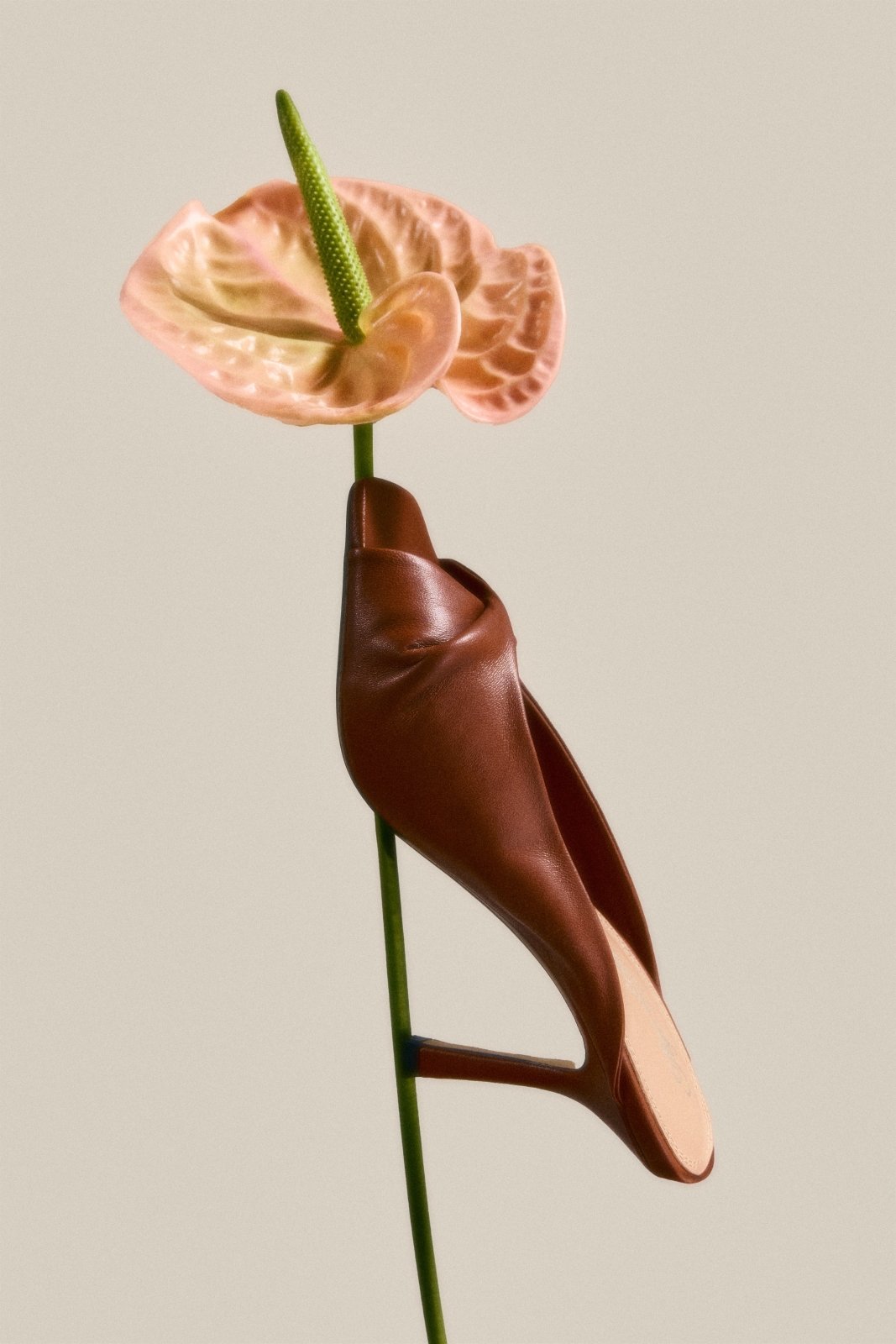 Patti Camel Mules Mules Age of Innocence Women