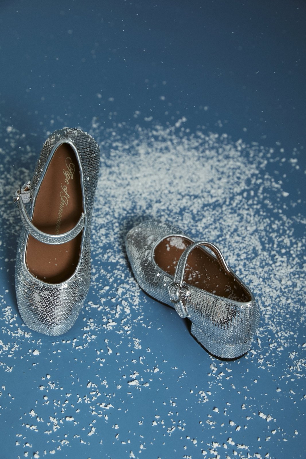 Agnese Sequins Silver Shoes by Age of Innocence